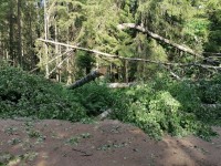 IMG_20240702_091106.jpg (547.2 КБ) 15185 просмотров IMG_20240702_091106.jpg