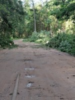 IMG_20240702_091034.jpg (371.22 КБ) 15185 просмотров IMG_20240702_091034.jpg