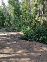 IMG_20240702_091310.jpg (526.17 КБ) 15185 просмотров IMG_20240702_091310.jpg