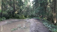 IMG-20240703-WA0000.jpg