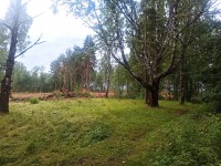 IMG_20240704_205445.jpg