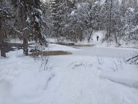 IMG-20250215-WA0010.jpg