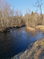 IMG_20250427_070127.jpg (409.53 КБ) 1664 просмотра IMG_20250427_070127.jpg