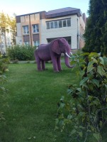 IMG_20251001_172632.jpg (325.07 КБ) 1679 просмотров IMG_20251001_172632.jpg