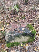 IMG_20251012_122327.jpg