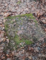 IMG_20251220_132307.jpg (384.61 КБ) 947 просмотров IMG_20251220_132307.jpg