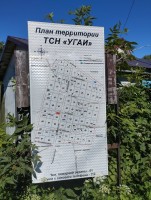 IMG_20260620_140924.jpg