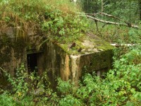DSCF05741.jpg