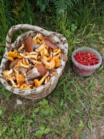 IMG_20260705_131025.jpg
