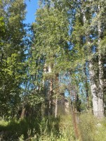 IMG_20260710_101950.jpg