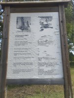 IMG_20260710_113245.jpg