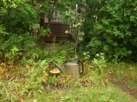 Копия (2) DSCF0613.jpg (499.27 КБ) 12401 просмотр Копия (2) DSCF0613.jpg