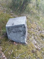 IMG_20260710_113924.jpg