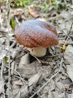 IMG_20260808_094453.jpg
