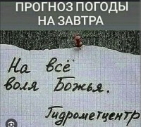 21198861.jpg