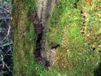 060909 023.jpg (422.09 КБ) 12416 просмотров 060909 023.jpg