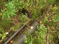 DSCF0390.jpg
