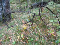 007.JPG (634.32 КБ) 16744 просмотра 007.JPG