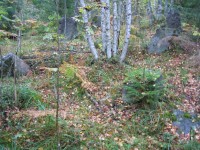 004.JPG (683.63 КБ) 16722 просмотра 004.JPG