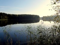IMG_2345.JPG