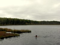IMG_2406.JPG