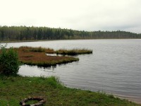 IMG_2371.JPG