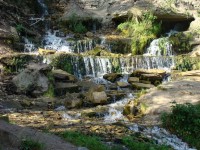 DSC01082.JPG (249.89 КБ) 12540 просмотров DSC01082.JPG