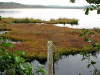 Кадр 003.jpg (291.94 КБ) 18317 просмотров Кадр 003.jpg