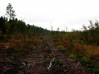 Кадр 013.jpg (293.54 КБ) 18325 просмотров Кадр 013.jpg