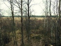 DSCF1772.jpg (398.63 КБ) 9146 просмотров DSCF1772.jpg