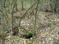 DSCF1734.jpg (452.2 КБ) 9165 просмотров DSCF1734.jpg