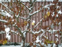 S7300293_resize.JPG (206.05 КБ) 12434 просмотра S7300293_resize.JPG