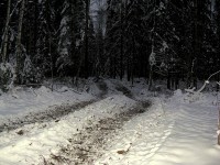 IMG_2768.JPG (209.29 КБ) 16501 просмотр IMG_2768.JPG