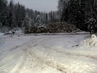 IMG_2767.JPG (196.57 КБ) 16519 просмотров IMG_2767.JPG