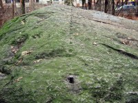 DSCF2294.jpg