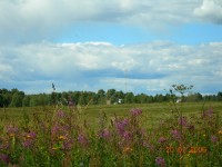 DSCN0671.JPG (173.26 КБ) 10841 просмотр DSCN0671.JPG