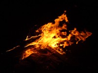 DSC01323.JPG (43.82 КБ) 10421 просмотр DSC01323.JPG