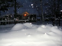 IMG_3120.JPG