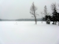IMG_3154.JPG