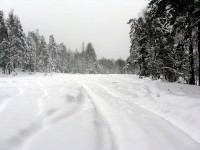 IMG_3162.JPG
