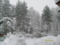 S7300355_resize.JPG
