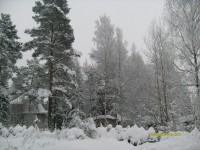 S7300354_resize.JPG