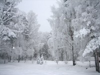 IMG_2490.jpg