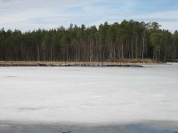 IMG_0401.jpg (47.56 КБ) 3727 просмотров IMG_0401.jpg