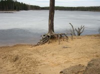 IMG_0397.jpg (69.37 КБ) 4182 просмотра IMG_0397.jpg