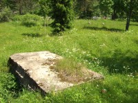 DSCF6941.jpg