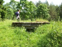 DSCF6931.jpg