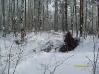 S7300389_resize.JPG