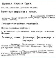 белоостровские учреждения.jpg