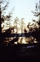 Pastorskoe 1.jpg (133.72 КБ) 11193 просмотра Pastorskoe 1.jpg